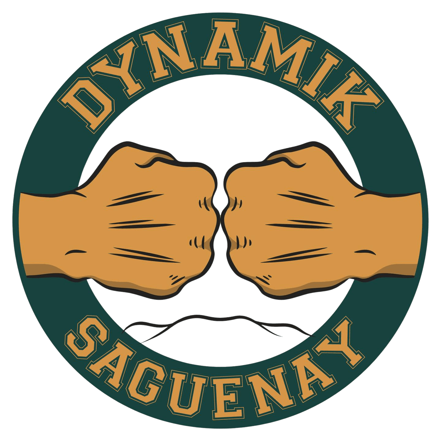 DynamikSaguenay logo